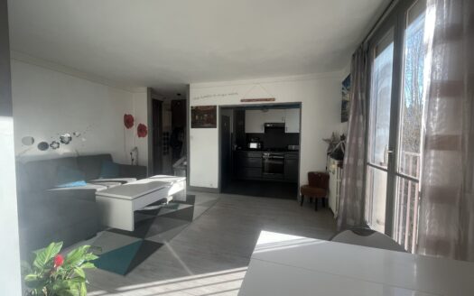 Charmant T3 à Montrouge – Montrouge (92120)