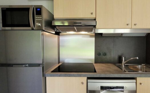 Vente appartement 2 pièces 28 m² Puy-Saint-Vincent