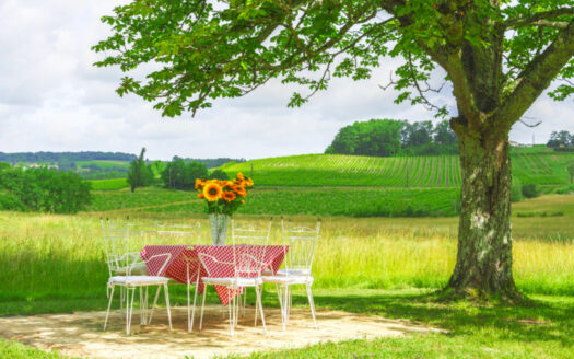 Manoir 19eme Siècle Monbazillac