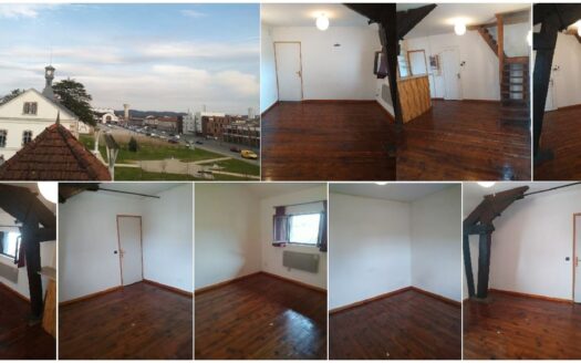 Appartement loft