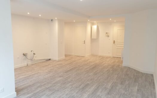 Atypique et grand T2 de 55 m2 avec terrasse et jardin de 50 m2