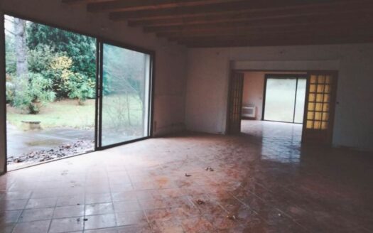 1/3  Mas a fort potentiel