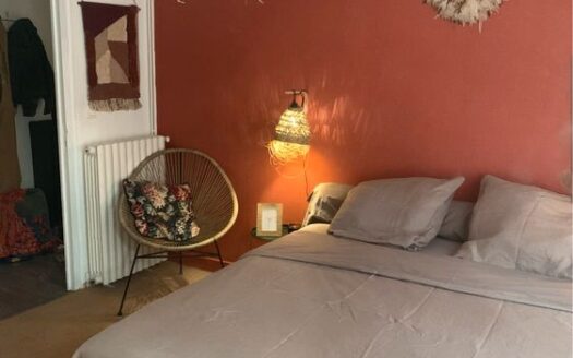 Appartement T3 hypercentre 68m2