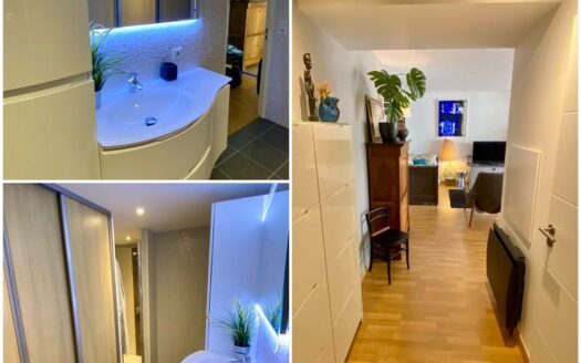 Appartement Nantes