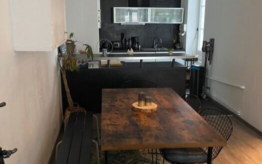 Appartement T3 hypercentre 68m2