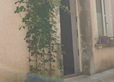 Maison avec Cour et Spa au Cœur du Village d’Alzonne