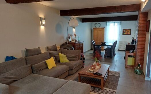 Maison de charme 9 pièces – Seysses Hyper Centre