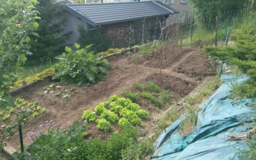 Vend Maison St Julien Chapteuil