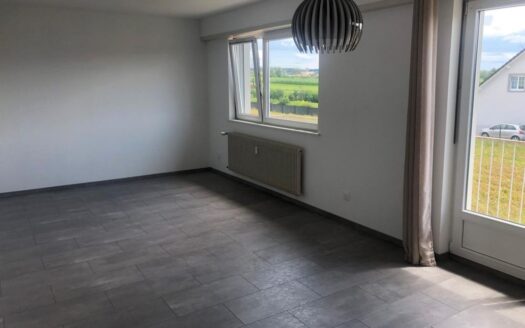 Appartement rénové 80m2 Drulingen