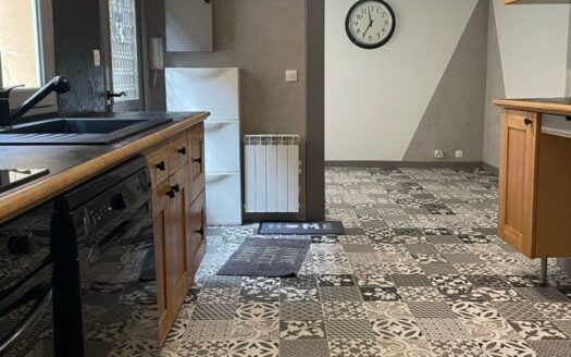 Maison de ville dans un ancien corps de ferme en bords de Seine secteur Vieux Conflans