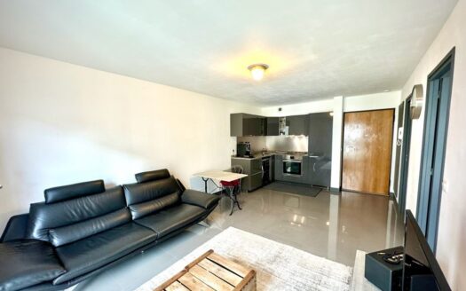 IDÉAL JEUNE ACTIF / COUPLE – 2 PIÈCES EXCELENT ETAT, LUMINEUX, CALME, PARKING