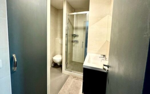 IDÉAL JEUNE ACTIF / COUPLE – 2 PIÈCES EXCELENT ETAT, LUMINEUX, CALME, PARKING