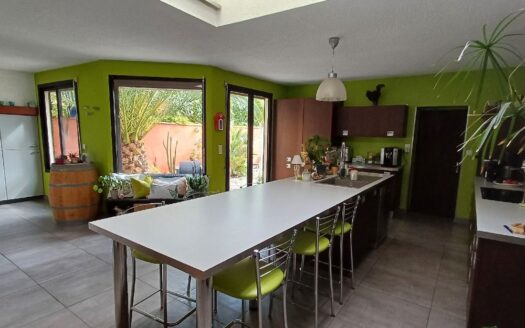 Maison de charme 9 pièces – Seysses Hyper Centre