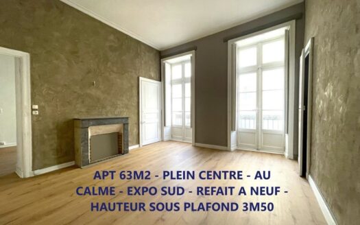 A SAISIR Hypercentre Nantes, 63m2 élégant, lumineux, calme
