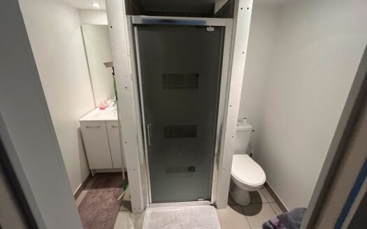 IDÉAL INVESTISSEUR/STUDIO LUMINEUX/BALCON/PARKING PRIVÉ/QUARTIER CALME