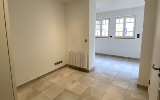 Studio rénové – Caluire Vernay – Charme et tranquillité dans une maison de maître