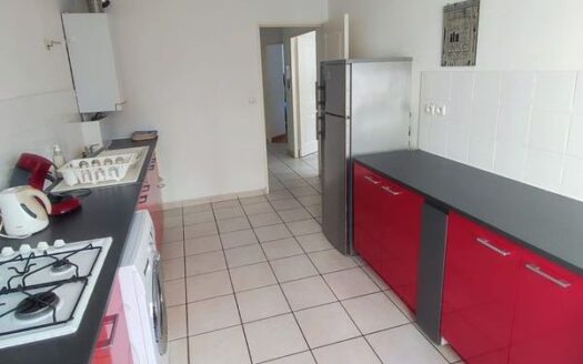 Appartement T4 102m2 Parc Blandan Université Lyon 7 69007