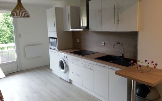 Opportunité d’investissement – Appartement 3 chambres avec revenus locatifs