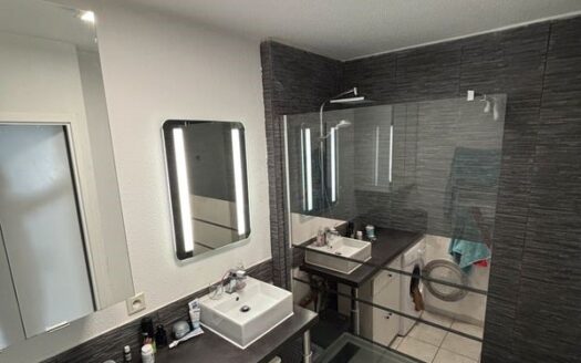 Grand appartement T2