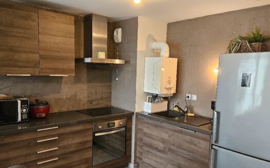 Appartement T3 vaulx village