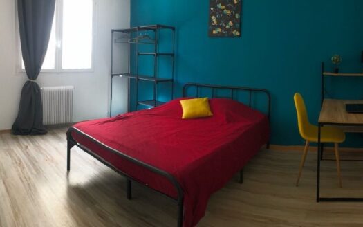 IDEAL INVESTISSEUR/AVEC LOCATAIRES SERIEUX EN PLACE