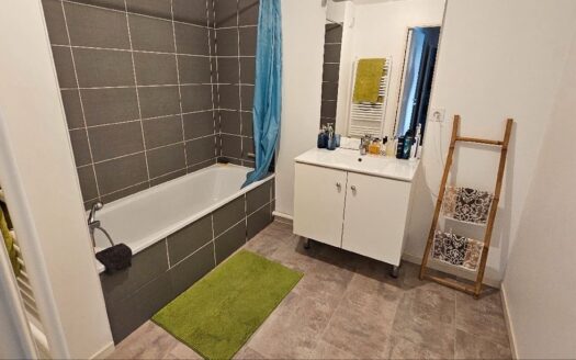Appartement T3 vaulx village