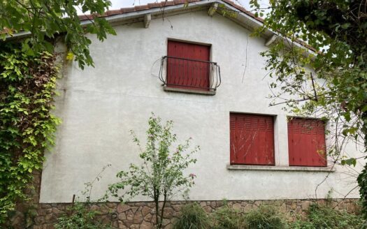 Maison avec beau terrain