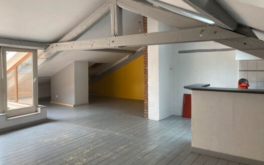 Vds appartement style loft