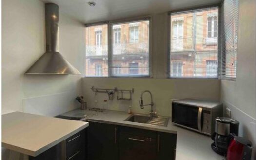 Appartement, Quartier des Chalets, hyper centre, Toulouse