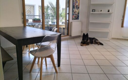 Appartement T4 102m2 Parc Blandan Université Lyon 7 69007