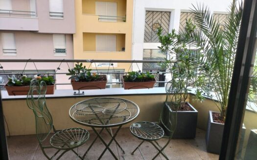 Appartement T4 102m2 Parc Blandan Université Lyon 7 69007