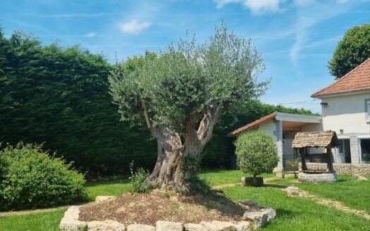 Maison dauphinoise