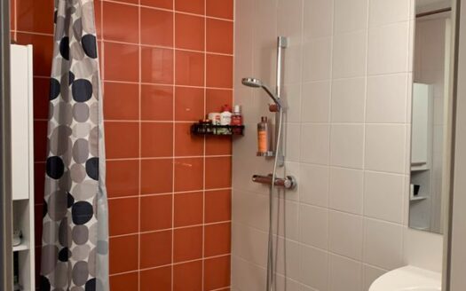IDEAL INVESTISSEUR / T1 meublé 22 m2 avec parking proche quartier Nouvelle Mairie
