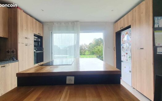 IDEAL FAMILLE/JARDIN/GARAGE/PROCHE COMMODITES/LUMINEUX