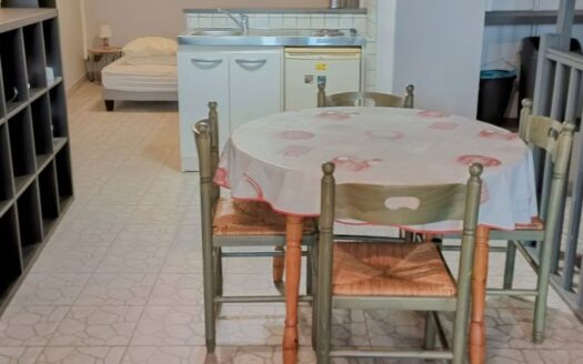 IDÉAL INVESTISSEUR/EMPLACEMENT IDEAL/STUDIO PRÊT À VIVRE/PROCHE GARE ET UNIVERSITÉS