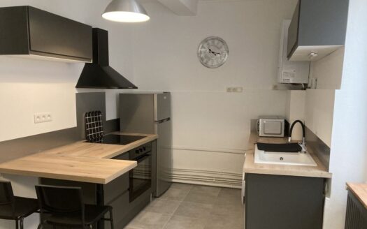 T4+T2 dans immeuble de ville