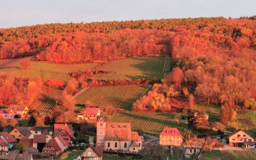 BELLE ET SPACIEUSE DEUMEURE DANS UN CADRE NATUREL ET EXEPTIONELLE ENTRE STRASBOURG ET COLMAR