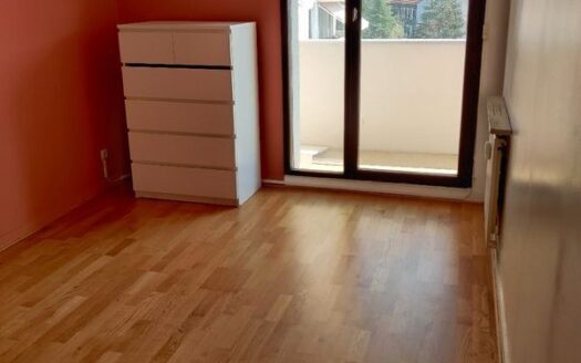 Appartement cours fauriel 67m2