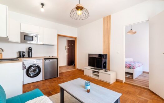 Beau T2 Nice rénové