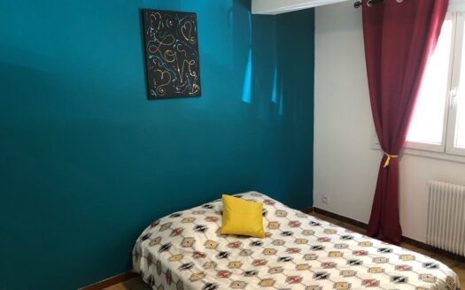 IDEAL INVESTISSEUR/AVEC LOCATAIRES SERIEUX EN PLACE