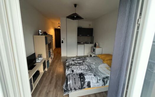 IDÉAL INVESTISSEUR/STUDIO LUMINEUX/BALCON/PARKING PRIVÉ/QUARTIER CALME