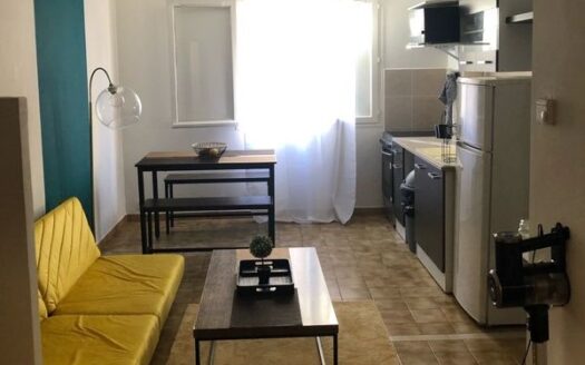 IDEAL INVESTISSEUR/AVEC LOCATAIRES SERIEUX EN PLACE