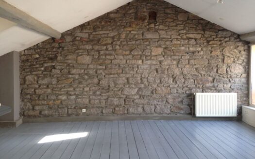 Vds appartement style loft