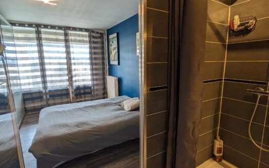 IDEAL FAMILLE/LUMINEUX/CORPO CALME ET BIEN ENTRETENUE/BALCON/PROCHE COMMODITES/CAVE