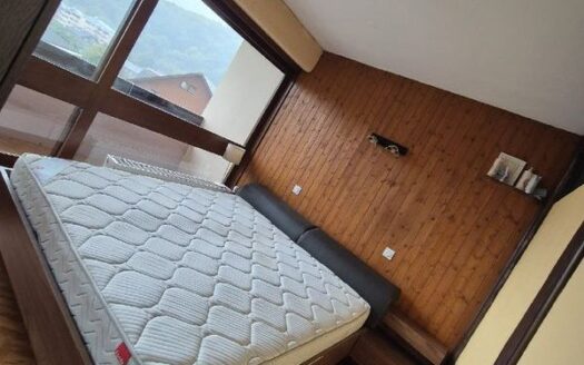 Chaleureux appartement de 3 chambres à Faverges
