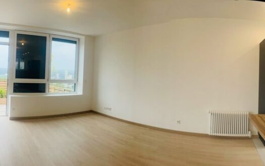 Appartement a vendre