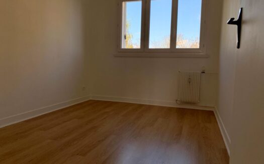 IDEAL JEUNE COUPLE/SANS VIE A VIE/LUMINEU