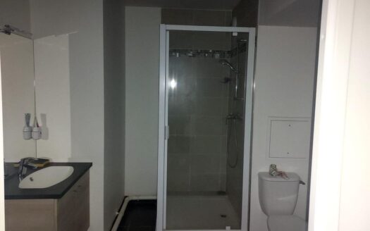 Appartement 43 m2 Montreuil