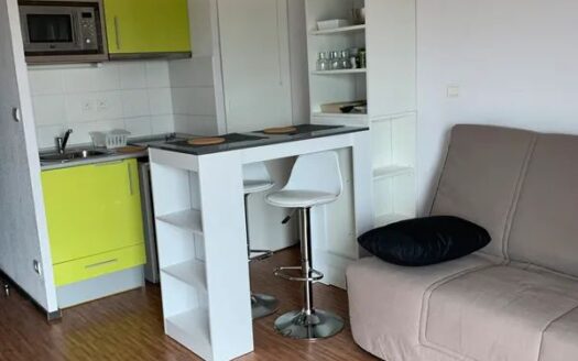 IDEAL INVESTISSEUR / T1 meublé 22 m2 avec parking proche quartier Nouvelle Mairie