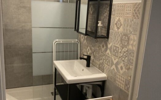 T4+T2 dans immeuble de ville